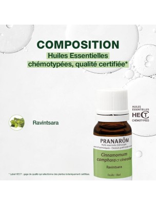 https://www.louis-herboristerie.com/81913-home_default/ravintsara-huile-essentielle-de-cinnamomum-camphora-10-ml-pranarom.jpg Image 81913 supplémentaire pour Ravintsara - Huile essentielle de Cinnamomum camphora 10 ml - Pranarôm