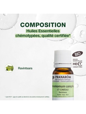 Petite image du produit Ravintsara Bio - Huile essentielle de Cinnamomum camphora 10 ml - Pranarôm
