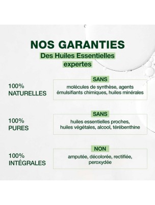 Image 81927 supplémentaire pour Romarin à verbénone Bio - Huile essentielle de Rosmarinus officinalis ct ver. 5 ml - Pranarôm
