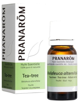 Image de Tea tree (Arbre à thé) - Huile essentielle de Melaleuca alternifolia 10 ml - Pranarôm depuis Achetez les produits Pranarôm à l'herboristerie Louis (6)