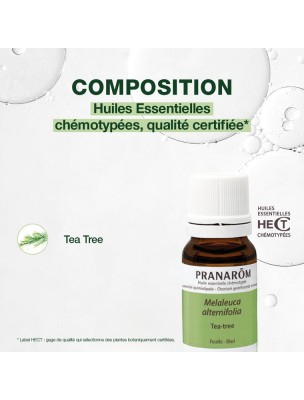 Image 81946 supplémentaire pour Tea tree (Arbre à thé) - Huile essentielle de Melaleuca alternifolia 10 ml - Pranarôm