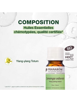 https://www.louis-herboristerie.com/81962-home_default/ylang-ylang-bio-huile-essentielle-pranarm-5-ml.jpg Image 81962 supplémentaire pour Ylang-ylang Bio - Cananga odorata 5 ml - Pranarôm