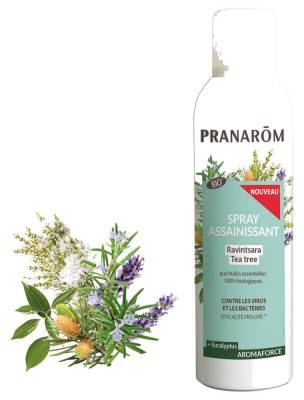 https://www.louis-herboristerie.com/81965-home_default/aromaforce-spray-assainissant-ravintsara-tea-tree-150-ml-pranarom.jpg Image 81965 supplémentaire pour Aromaforce Spray Assainissant - Ravintsara Tea Tree 150 ml - Pranarôm