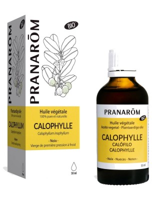 Image 82000 supplémentaire pour Calophylle (Tamanu) Bio - Huile végétale Calophyllum inophyllum 50 ml - Pranarôm