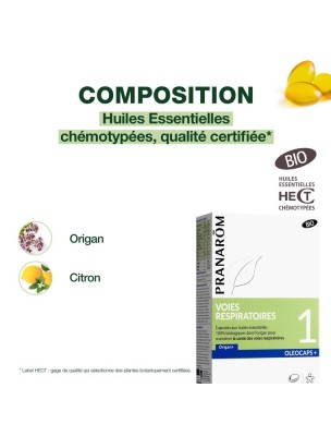 https://www.louis-herboristerie.com/82080-home_default/oleocaps-1-bio-voies-respiratoires-30-capsules-d-huiles-essentielles-pranarom.jpg Image 82080 supplémentaire pour Oléocaps + 1 Bio - Voies respiratoires 30 capsules d'huiles essentielles - Pranarôm