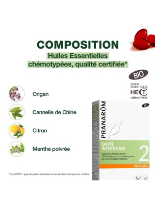 https://www.louis-herboristerie.com/82083-home_default/oleocaps-2-bio-sante-intestinale-30-capsules-d-huiles-essentielles-pranarom.jpg Image 82083 supplémentaire pour Oléocaps + 2 Bio - Santé intestinale 30 capsules d'huiles essentielles - Pranarôm