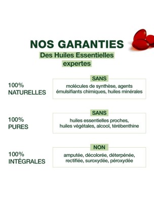 https://www.louis-herboristerie.com/82087-home_default/oleocaps-3-bio-confort-digestif-30-capsules-d-huiles-essentielles-pranarom.jpg Image 82087 supplémentaire pour Oléocaps + 3 Bio - Confort Digestif 30 capsules d'huiles essentielles - Pranarôm