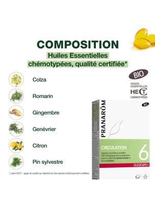 https://www.louis-herboristerie.com/82097-home_default/oleocaps-6-bio-circulation-30-capsules-d-huiles-essentielles-pranarom.jpg Image 82097 supplémentaire pour Oléocaps + 6 Bio - Circulation 30 capsules d'huiles essentielles - Pranarôm