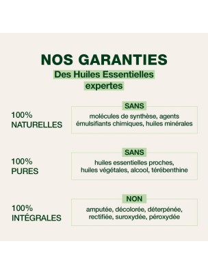 https://www.louis-herboristerie.com/82113-home_default/pranabb-baume-pectoral-bio-respiration-des-bebes-40-ml-pranarom.jpg Image 82113 supplémentaire pour Pranabb Baume Pectoral Bio - Respiration des bébés 40 ml - Pranarôm