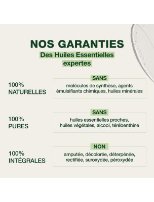 Image 82122 supplémentaire pour Pranabb Roller Piqûres Bio - Gel Apaisant naturel 15 ml - Pranarôm