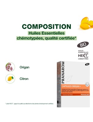 https://www.louis-herboristerie.com/82125-home_default/origan-essence-de-citron-bio-pranacaps-resistance-30-capsules-d-huile-essentielle-pranarom.jpg Image 82125 supplémentaire pour Origan + Essence de citron Bio Pranacaps - Résistance 30 capsules d'huile essentielle - Pranarôm