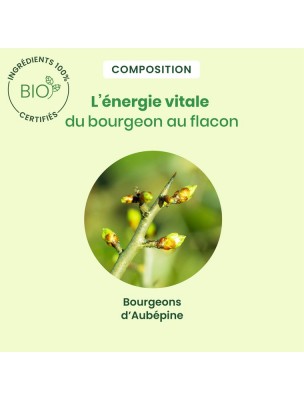 https://www.louis-herboristerie.com/82135-home_default/aubepine-bourgeon-bio-coeur-et-detente-spray-15-ml-herbalgem.jpg Image 82135 supplémentaire pour Aubépine bourgeon Bio - Coeur et Détente Spray 15 ml - Herbalgem