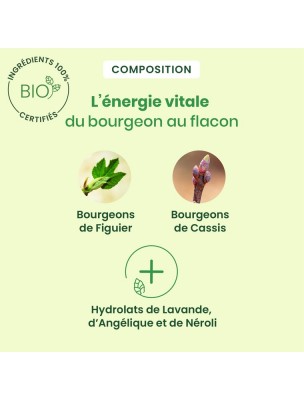 https://www.louis-herboristerie.com/82138-home_default/calmigem-gc03-bio-stress-et-anxiete-30-ml-herbalgem.jpg Image 82138 supplémentaire pour CalmiGEM GC03 Bio - Stress et anxiété 30 ml - Herbalgem