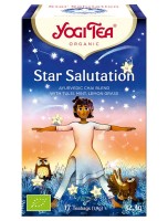 Image de Star Salutation Bio - Infusions Ayurvédiques 17 sachets - Yogi Tea depuis Solutions Naturelles pour votre Santé | Louis Herboristerie (101)