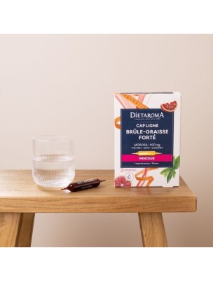 https://www.louis-herboristerie.com/82211-home_default/cap-ligne-brule-graisse-forte-minceur-20-ampoules-dietaroma.jpg Image 82211 supplémentaire pour Cap Ligne Brûle-graisse Forté - Minceur 20 ampoules - Dietaroma