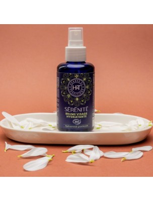 https://www.louis-herboristerie.com/82244-home_default/brume-visage-hydratante-bio-rituel-serenite-vata-100-ml-herbes-et-traditions.jpg Image 82244 supplémentaire pour Brume Visage Hydratante Bio - Rituel Sérénité (Vata) 100 ml - Herbes et Traditions