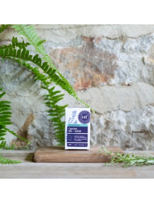 https://www.louis-herboristerie.com/82303-home_default/capsules-nez-gorge-aromasana-bio-respiration-30-capsules-herbes-et-traditions.jpg Image 82303 supplémentaire pour Capsules Nez-Gorge Aromasana Bio - Respiration 30 capsules - Herbes et Traditions