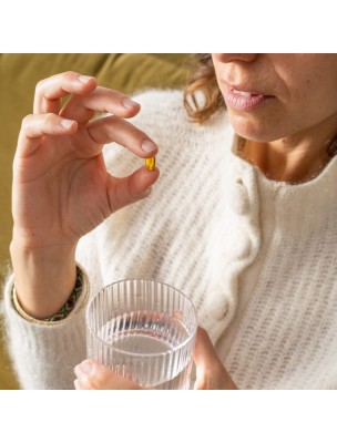 https://www.louis-herboristerie.com/82304-home_default/capsules-nez-gorge-aromasana-bio-respiration-30-capsules-herbes-et-traditions.jpg Image 82304 supplémentaire pour Capsules Nez-Gorge Aromasana Bio - Respiration 30 capsules - Herbes et Traditions