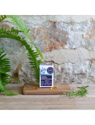 https://www.louis-herboristerie.com/82306-home_default/capsules-bronches-aromasana-bio-respiration-30-capsules-herbes-et-traditions.jpg Image 82306 supplémentaire pour Capsules Bronches Aromasana Bio - Respiration 30 capsules - Herbes et Traditions