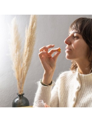 https://www.louis-herboristerie.com/82308-home_default/capsules-bronches-aromasana-bio-respiration-30-capsules-herbes-et-traditions.jpg Image 82308 supplémentaire pour Capsules Bronches Aromasana Bio - Respiration 30 capsules - Herbes et Traditions