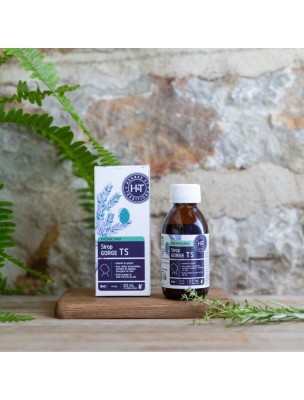 https://www.louis-herboristerie.com/82313-home_default/sirop-gorge-aromasana-bio-respiration-125-ml-herbes-et-traditions.jpg Image 82313 supplémentaire pour Sirop Gorge Aromasana Bio - Respiration 125 ml - Herbes et Traditions