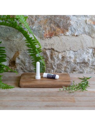 Image 82321 supplémentaire pour Stick Inhaleur Aromasana - Respiration 1 ml - Herbes et Traditions