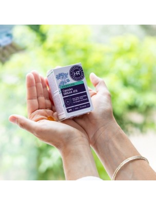 https://www.louis-herboristerie.com/82325-home_default/capsules-origan-atb-aromasana-bio-defenses-naturelles-30-capsules-herbes-et-traditions.jpg Image 82325 supplémentaire pour Capsules Origan ATB Aromasana Bio - Défenses Naturelles 30 capsules - Herbes et Traditions