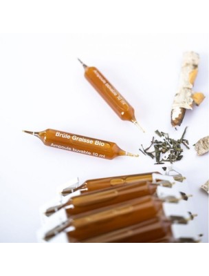 https://www.louis-herboristerie.com/82336-home_default/capligne-brule-graisse-bio-elimination-et-brule-graisse-30-ampoules-dietaroma.jpg Image 82336 supplémentaire pour Cap Ligne Brûle-graisse Bio - Elimination et Brûle-graisse 30 ampoules - Dietaroma