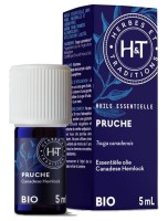 Image de Pruche Bio - Huile essentielle de Tsuga canadensis 5 ml - Herbes et Traditions depuis Huiles essentielles pour votre bien-être | Louis Herboristerie (19)