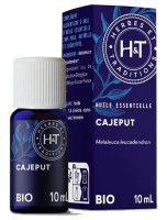 Image de Cajeput Bio - Huile essentielle Melaleuca leucadendron 10 ml - Herbes et Traditions depuis Huiles essentielles pour votre bien-être | Louis Herboristerie (4)