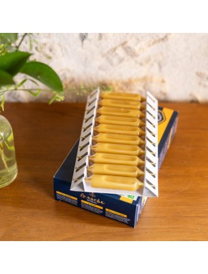 Image 82375 supplémentaire pour Gelée Royale Française Bio - 10 ampoules de 15 ml  - Dietaroma
