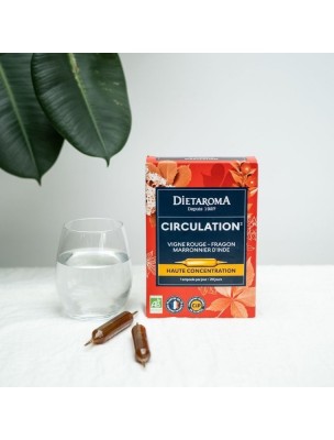 https://www.louis-herboristerie.com/82403-home_default/cip-circulation-bio-circulation-20-ampoules-dietaroma.jpg Image 82403 supplémentaire pour C.I.P. Circulation Bio - Circulation 20 ampoules - Dietaroma