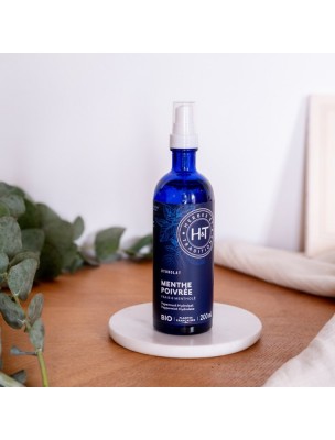 https://www.louis-herboristerie.com/82448-home_default/menthe-poivree-bio-hydrolat-de-mentha-piperita-200-ml-herbes-et-traditions.jpg Image 82448 supplémentaire pour Menthe Poivrée Bio - Hydrolat de Mentha Piperita 200 ml - Herbes et Traditions