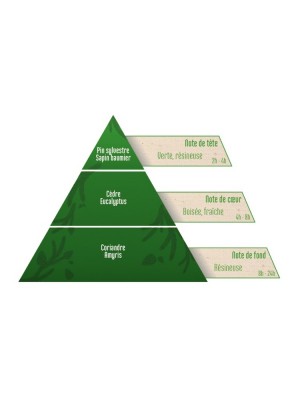 https://www.louis-herboristerie.com/82589-home_default/pomme-de-pin-bio-synergie-a-diffuser-10-ml-herbes-et-traditions.jpg Image 82589 supplémentaire pour Pomme de pin Bio - Synergie à diffuser 10 ml - Herbes et Traditions