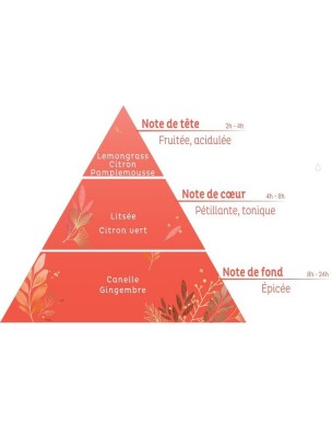 https://www.louis-herboristerie.com/82867-home_default/vitalite-bio-synergie-a-diffuser-10-ml-herbes-et-traditions.jpg Image 82867 supplémentaire pour Vitalité Bio - Synergie à diffuser 10 ml - Herbes et Traditions