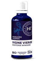 Image de Vigne vierge Bio - Macérât de bourgeons de Parthenocissus tricuspidata 50 ml - Herbes et Traditions depuis Herboristerie Louis - Produits de phytothérapie et d'herboristerie en ligne (200)