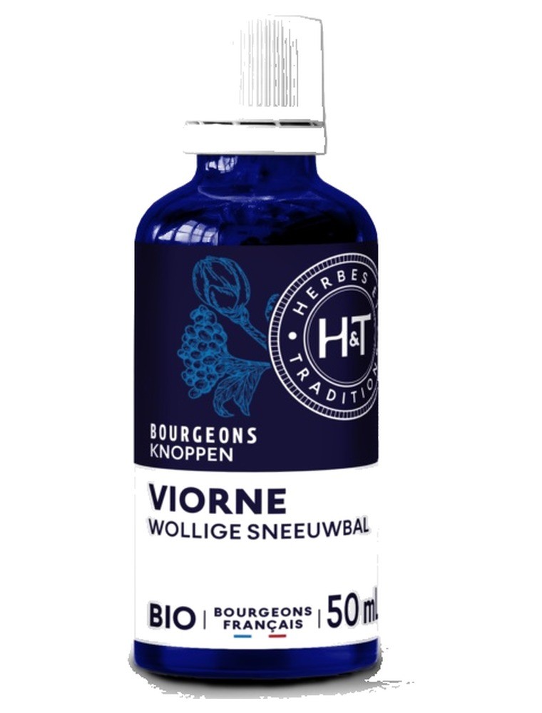 Image principale de la modale pour Viorne Bio - Macérât de bourgeons de Viburnum lantana 50 ml - Herbes et Traditions