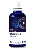 Image de Séquoia Bio - Macérât de jeunes pousses de Sequoiadendron giganteum 50 ml - Herbes et Traditions depuis Herboristerie Louis - Produits de phytothérapie et d'herboristerie en ligne (173)