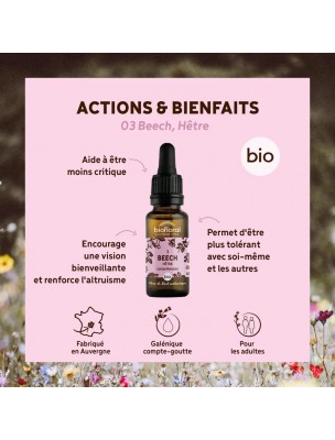 Image 82963 supplémentaire pour Beech Hêtre n°3 - Acceptation et Compréhension Bio aux Fleurs de Bach 20 ml - Biofloral