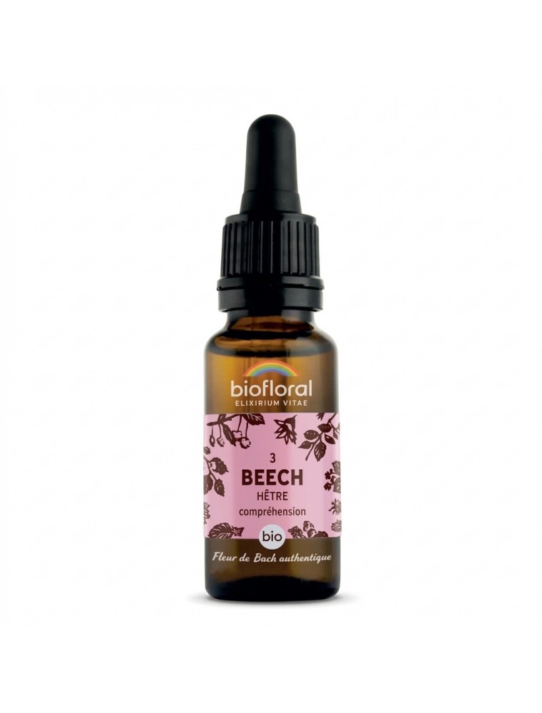Image principale de la modale pour Beech Hêtre n°3 - Acceptation et Compréhension Bio aux Fleurs de Bach 20 ml - Biofloral