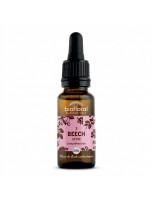 Image de Beech Hêtre n°3 - Acceptation et Compréhension Bio aux Fleurs de Bach 20 ml - Biofloral depuis Fleurs de Bach pour un bien-être optimal