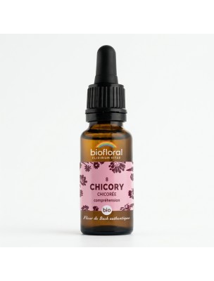 Image de Chicory Chicorée n°8 - Compréhension et Acceptation Bio aux Fleurs de Bach 20 ml - Biofloral depuis Achetez les produits Biofloral à l'herboristerie Louis