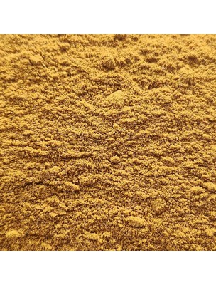 https://www.louis-herboristerie.com/82969-home_default/ras-el-hanout-bio-poudre-100g-melange-d-epices.jpg Image 82969 supplémentaire pour Ras El Hanout Bio - Poudre 100g - Mélange d'Epices