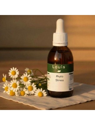 https://www.louis-herboristerie.com/82972-home_default/phyto-stress-bio-teinture-mere-de-plantes-125-ml.jpg Image 82972 supplémentaire pour Phyto Stress Bio - Teinture mère de plantes 125 ml