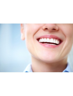 https://www.louis-herboristerie.com/8332-home_default/dentifrice-en-poudre-citron-30-grammes-per-blan.jpg