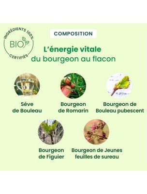 Image 83772 supplémentaire pour Silhousève Bio - Minceur et Ligne 250 ml - Herbalgem