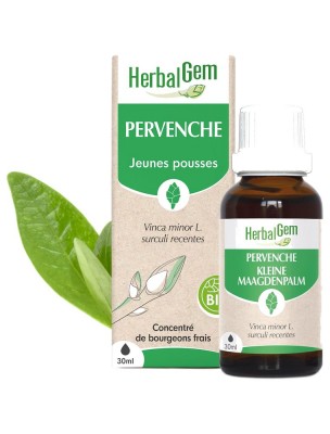 Image de Pervenche bourgeon Bio - Mémoire et Circulation 30 ml – Herbalgem depuis Commandez les produits Herbalgem à l'herboristerie Louis