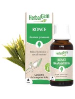 Image de Ronce bourgeon Bio - Allergies et Respiration 30 ml - Herbalgem depuis Bourgeons pour votre bien-être (10)