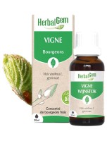 Image de Vigne bourgeon Bio - Articulations 30 ml - Herbalgem depuis Bourgeons pour votre bien-être (12)