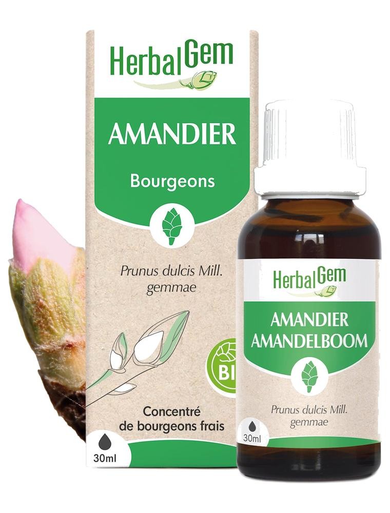 Image principale de la modale pour Amandier bourgeon Bio - Circulation et Reins 30 ml - Herbalgem